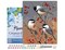 Figured'Art Paint by Numbers for Adults with Frame Birds and Fruit Tree 16"x20" - Craft Art Painting DIY Kit Canvas Already Stretched on a Wooden Frame